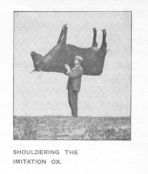 Shouldering the Imitation Ox